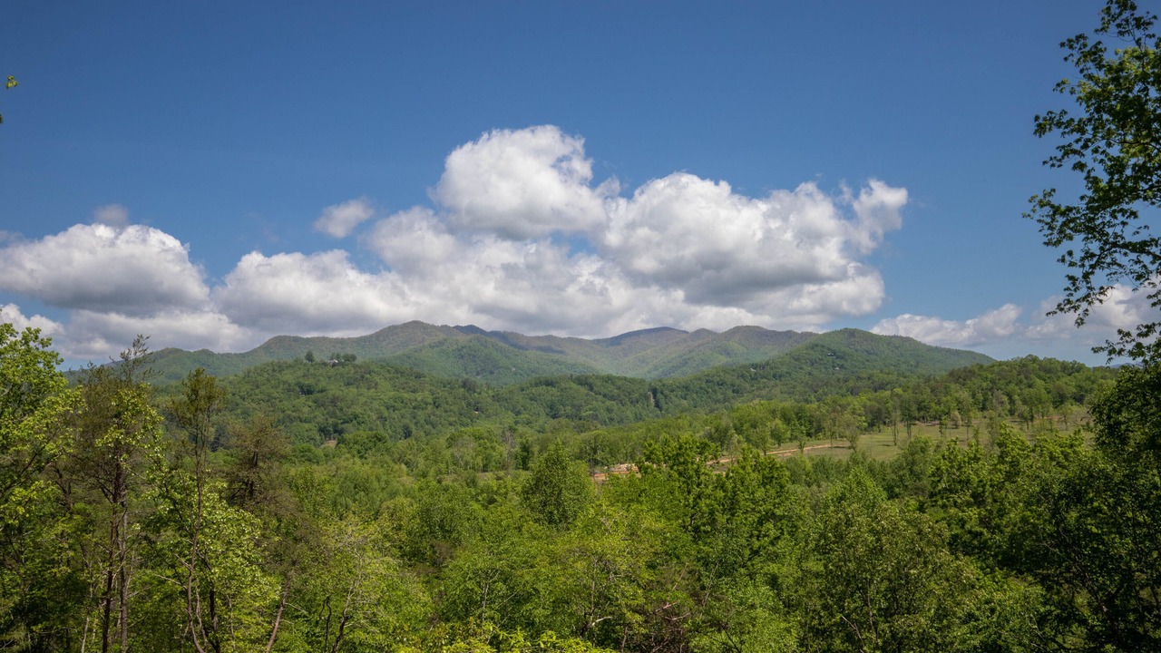 Photo of Others in Bryson City