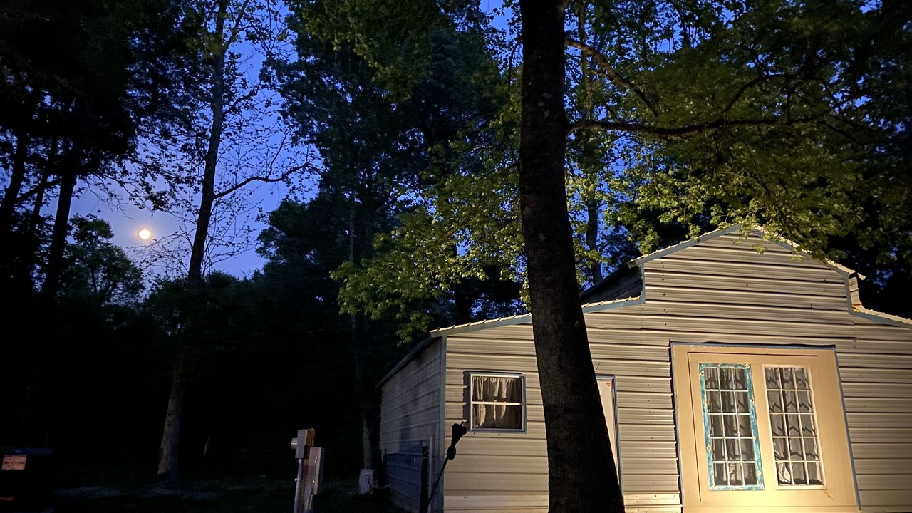 Photo of Outdoor in Willis