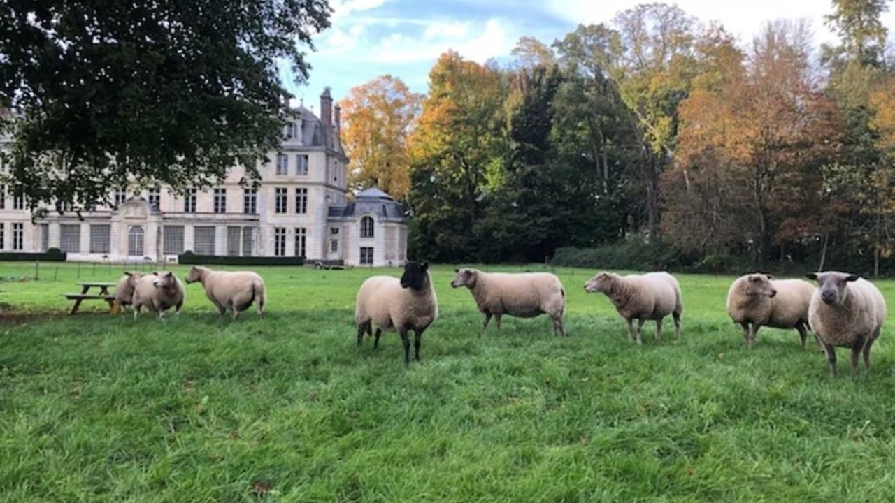 Photo of Others in Brestot