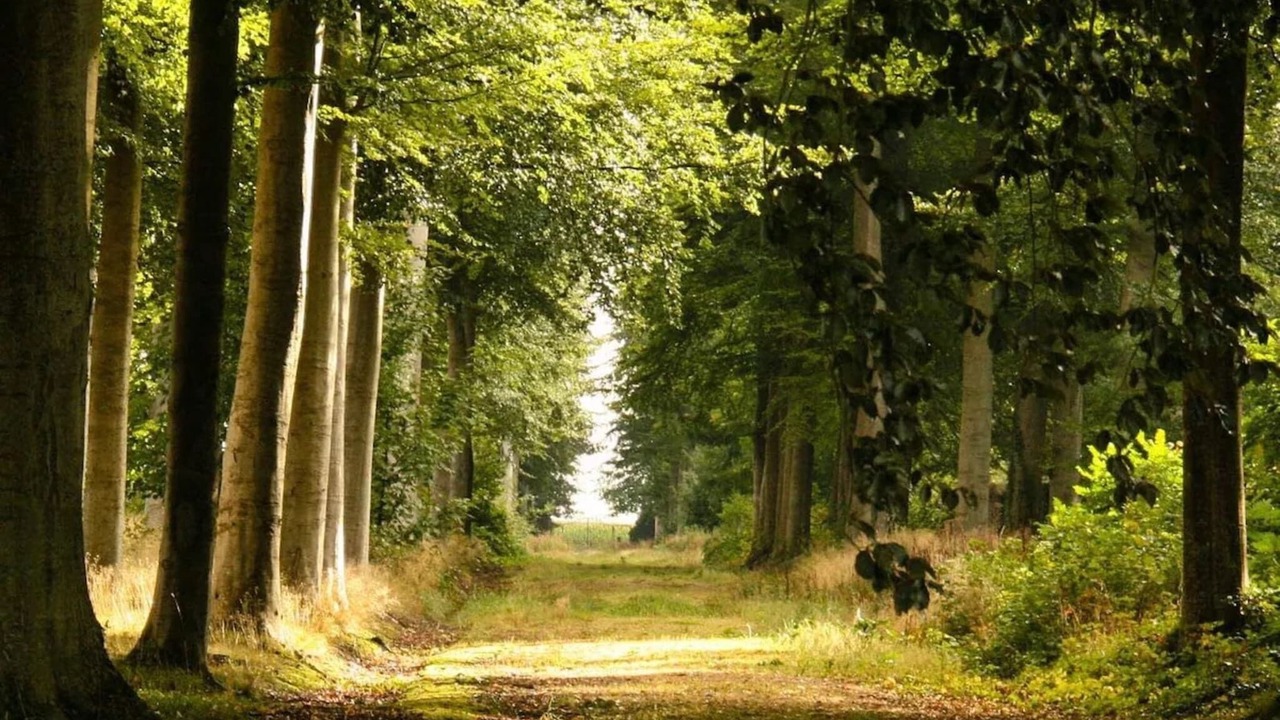 Photo of Others in Brestot