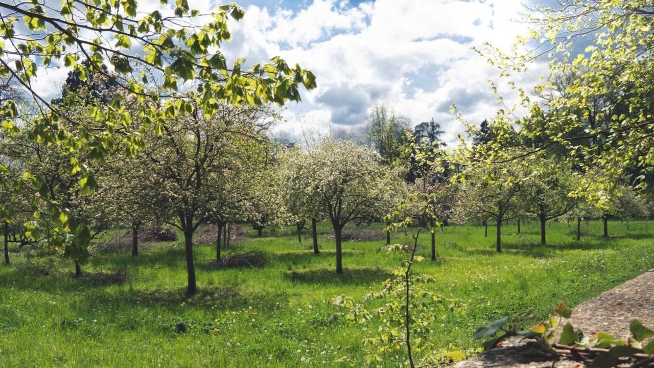 Photo of Others in Brestot