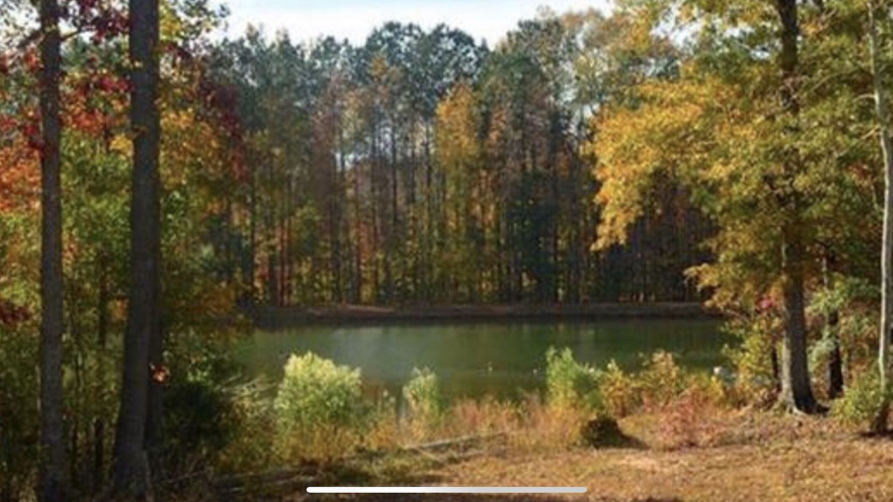 Photo of Outdoor in Conyers