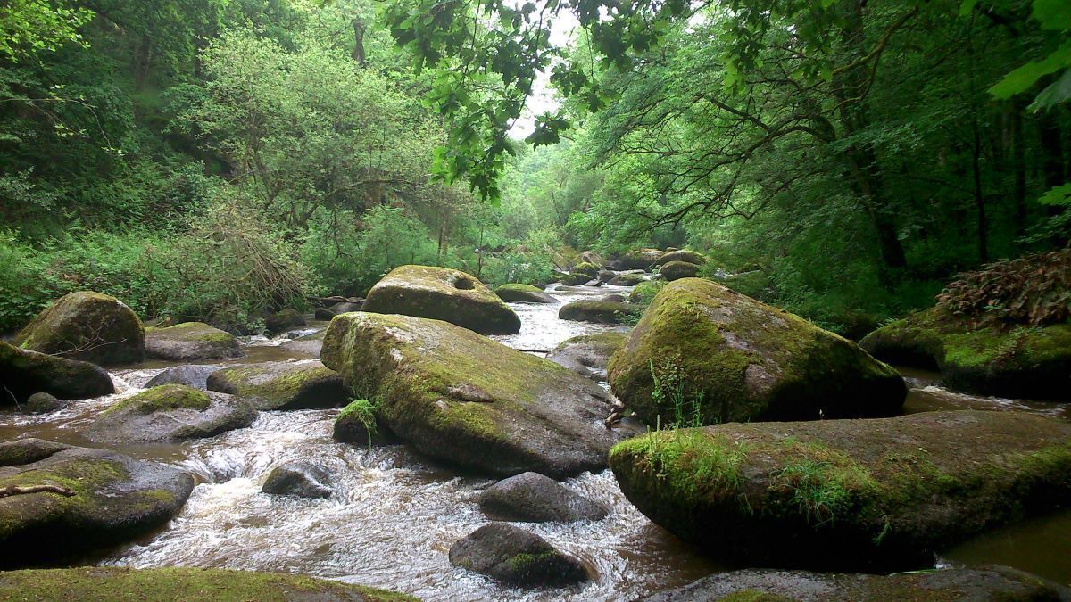 Photo of Outdoor in Saint-Brandan