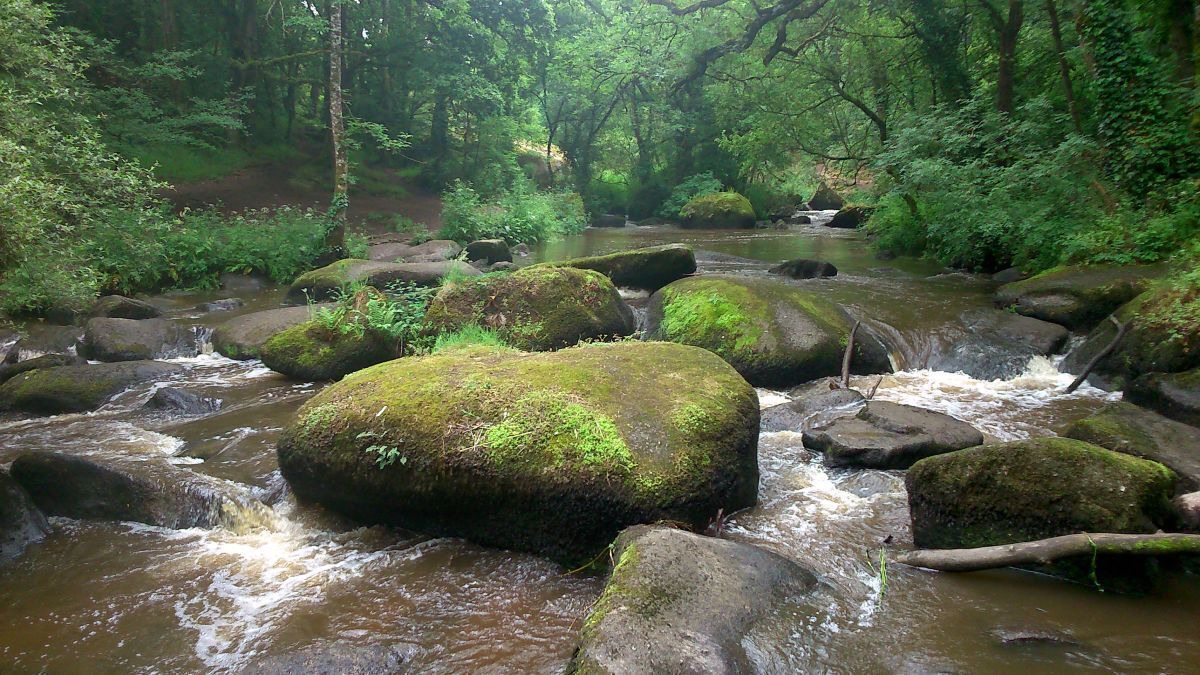 Photo of Outdoor in Saint-Brandan
