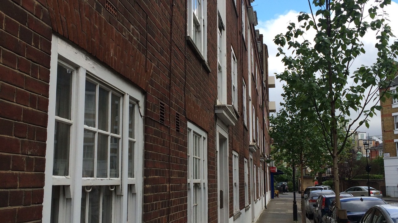 Photo of Others in Vincent Square