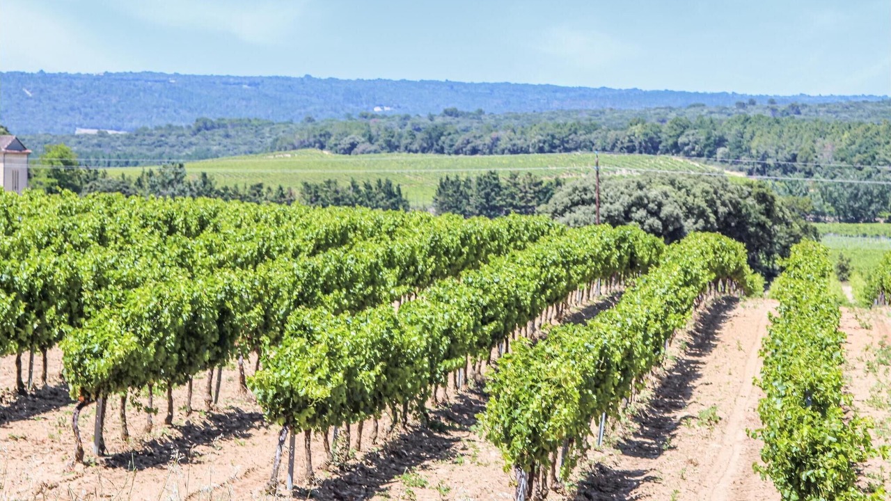 Photo of Others in Espeluche