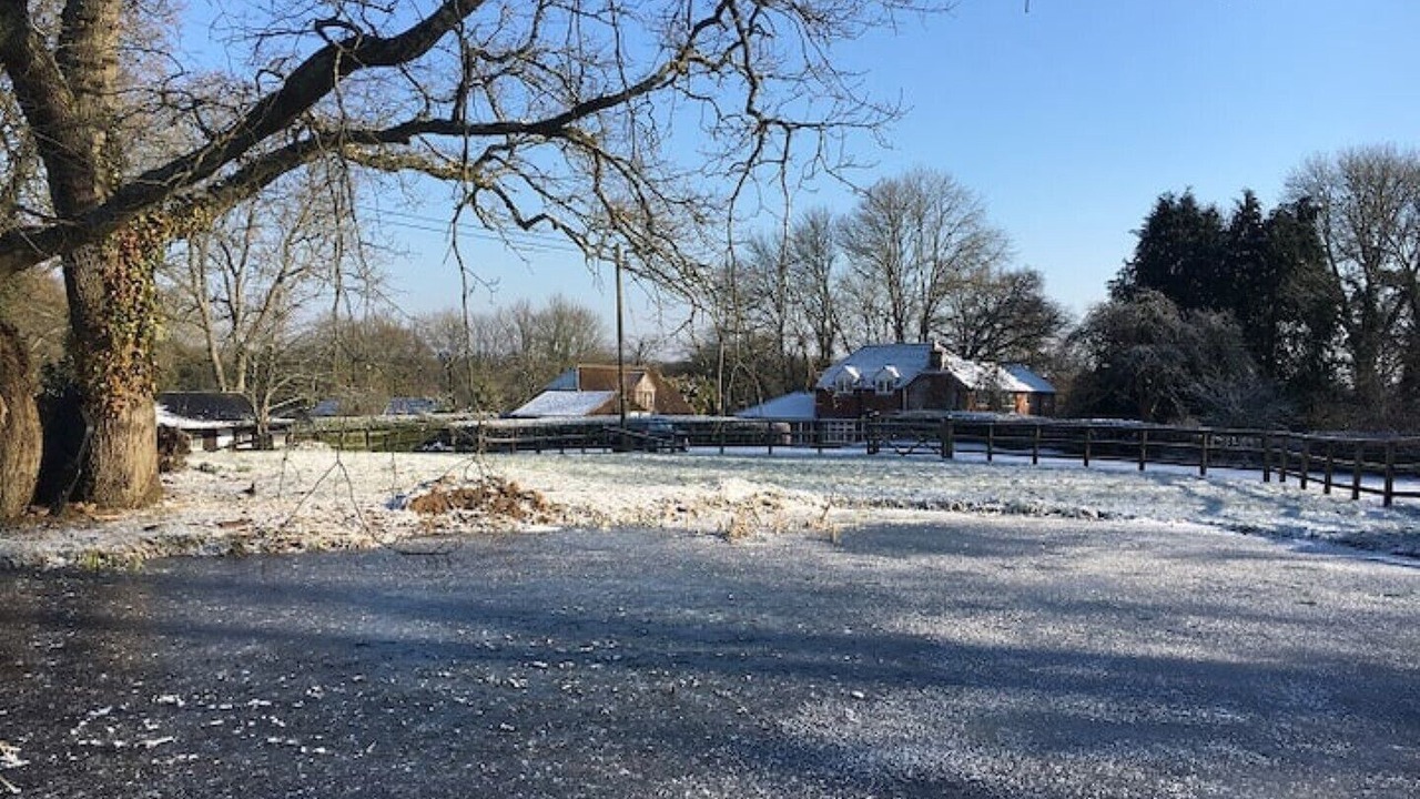 Photo of Outdoor in New Forest District