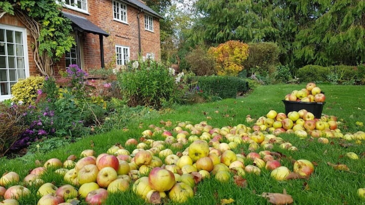 Photo of Outdoor in New Forest District