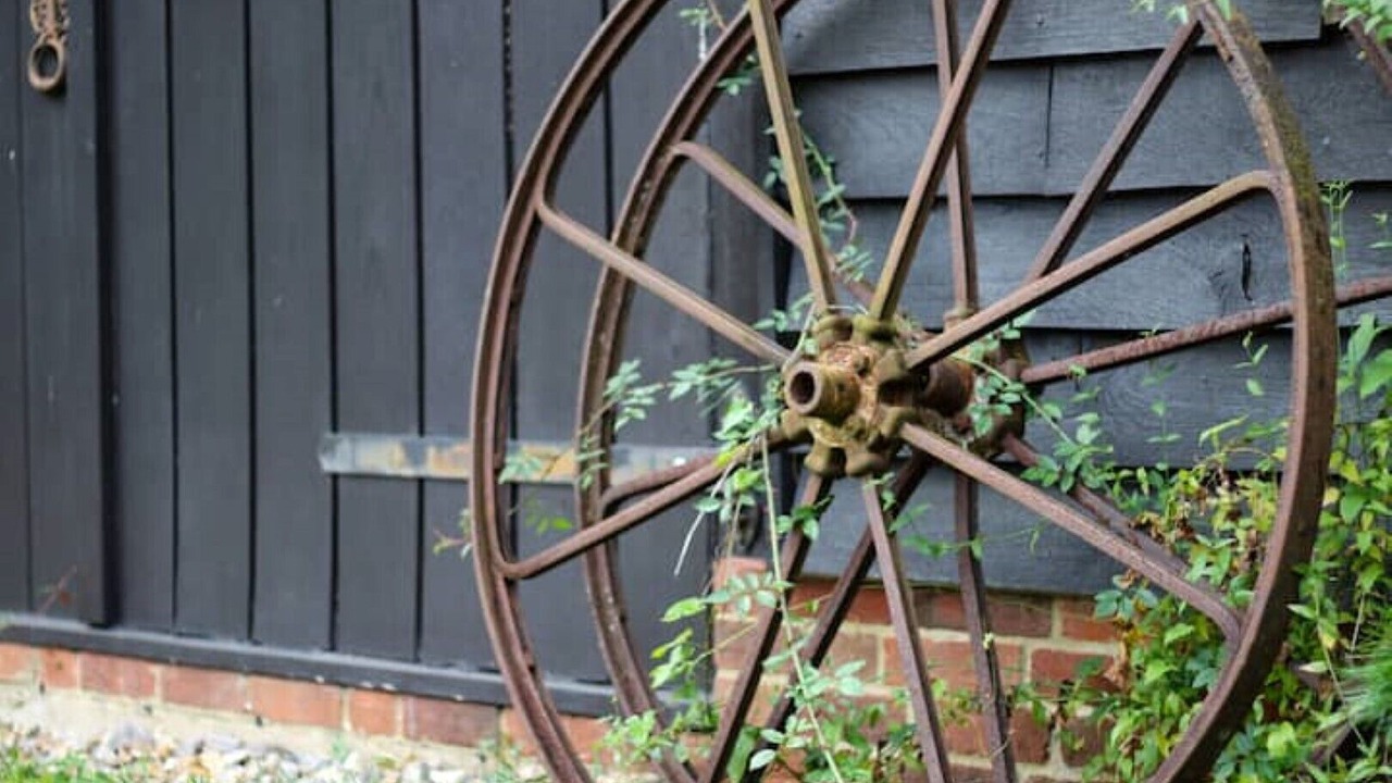 Photo of Outdoor in New Forest District