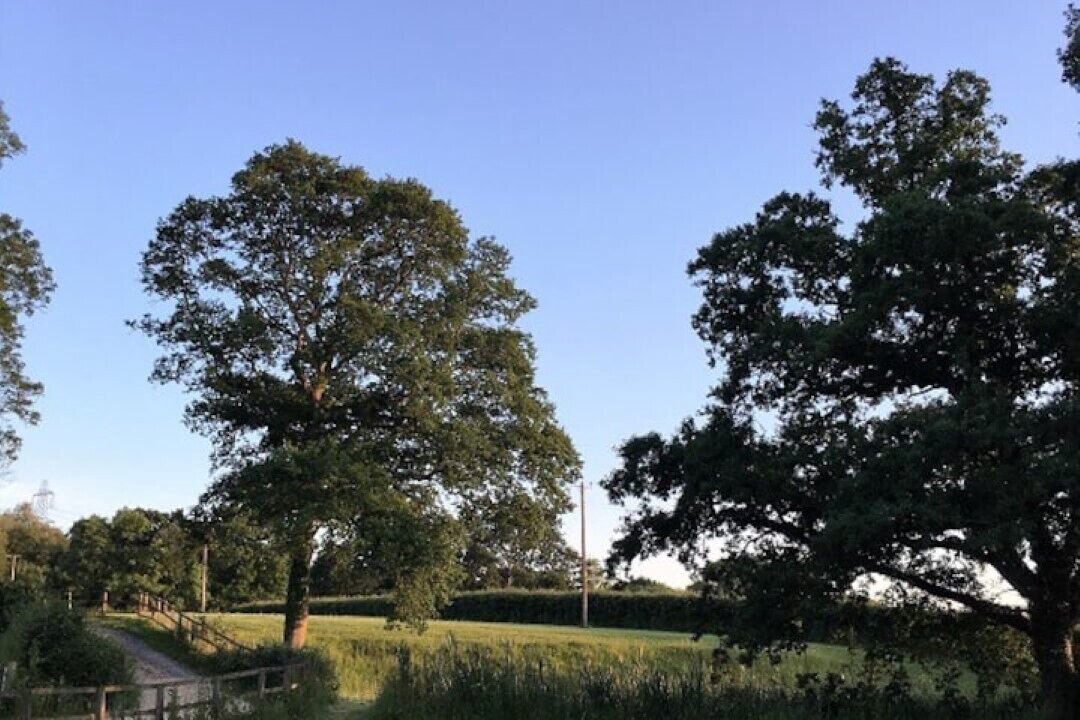 Photo of Others in New Forest District