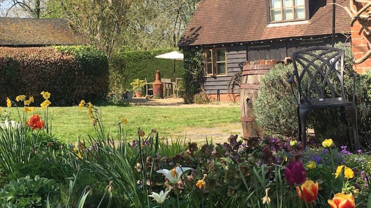 Photo of Outdoor in New Forest District