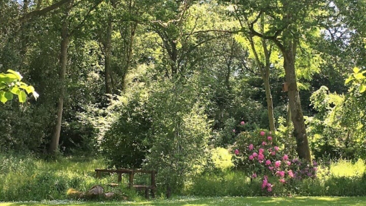 Photo of Outdoor in New Forest District