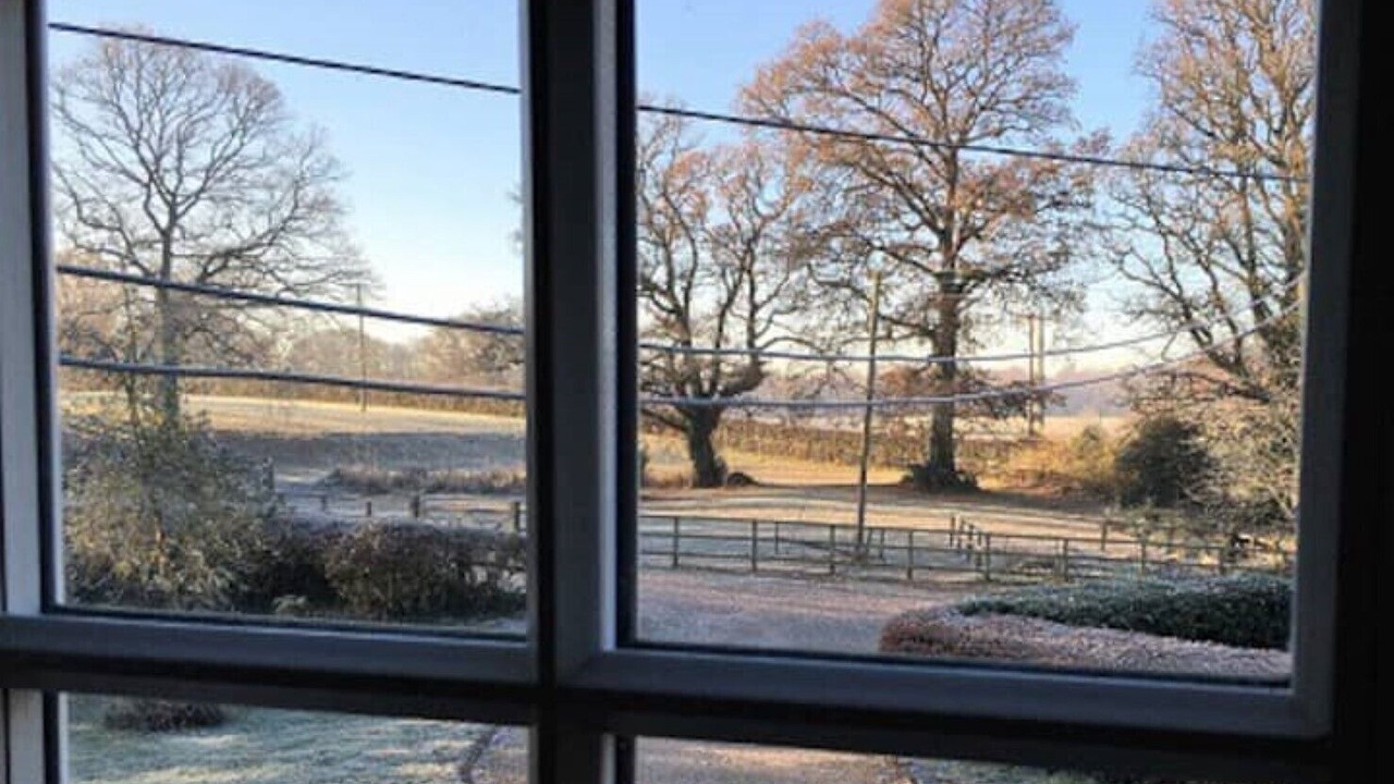 Photo of Others in New Forest District