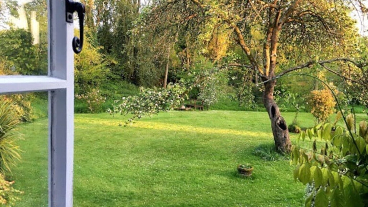 Photo of Outdoor in New Forest District