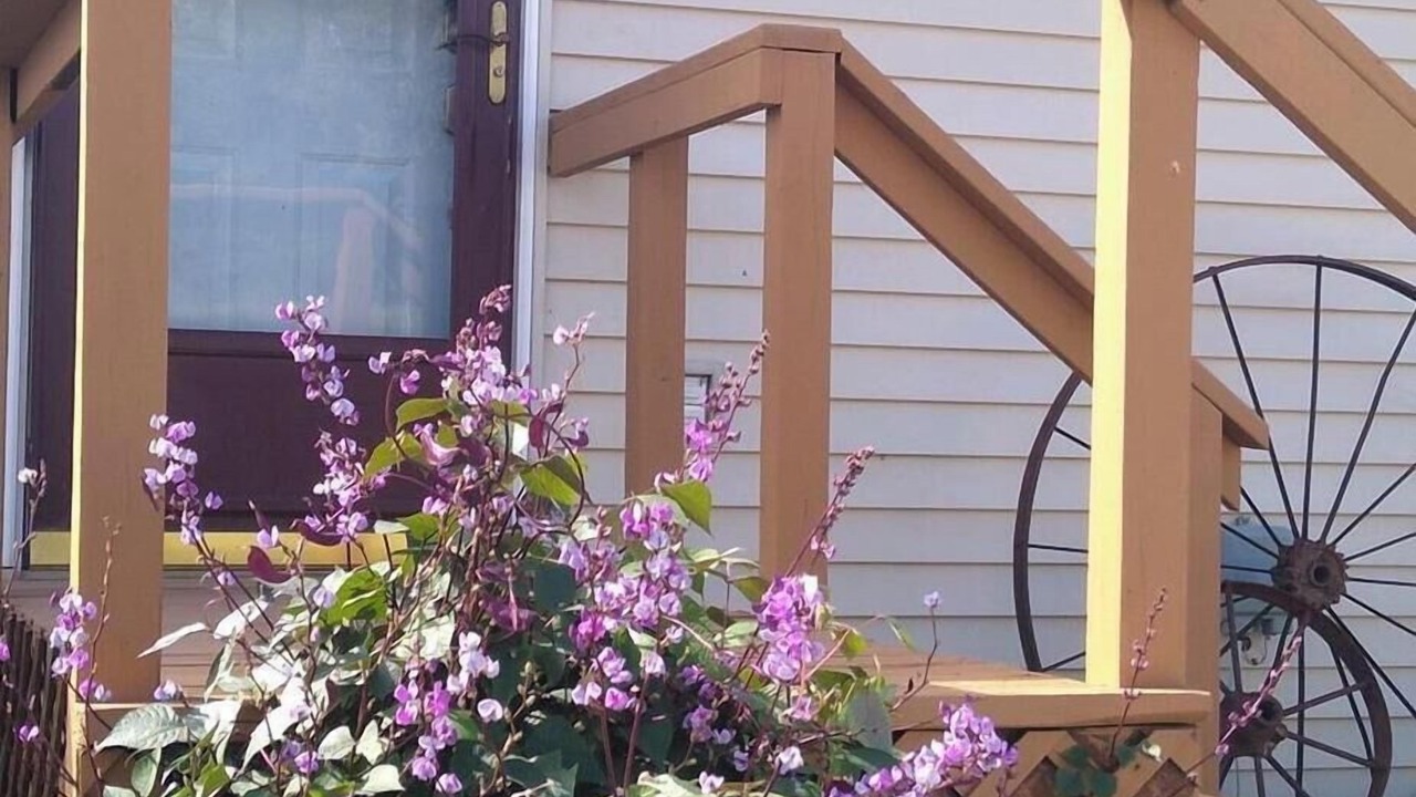 Photo of Outdoor in Winfield