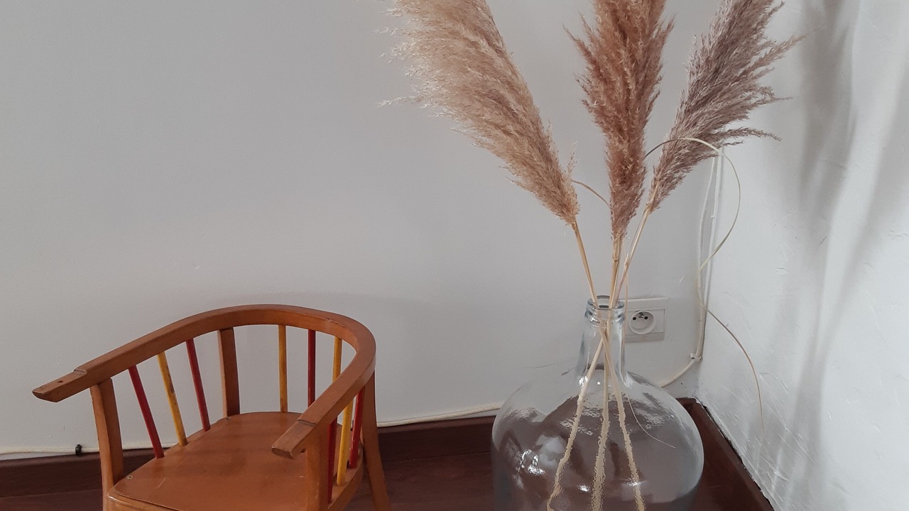Photo of Others in Laval