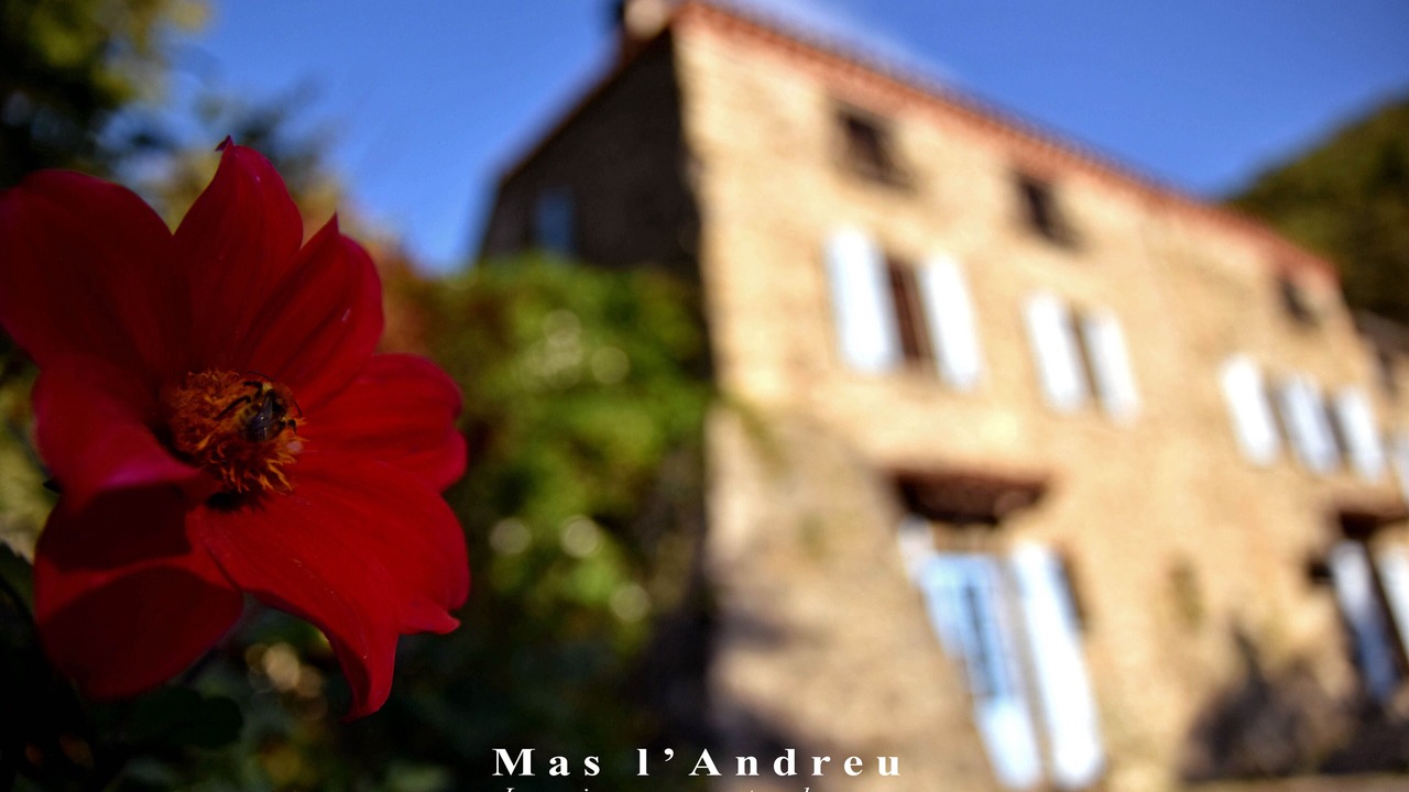 Photo of Outdoor in Corsavy