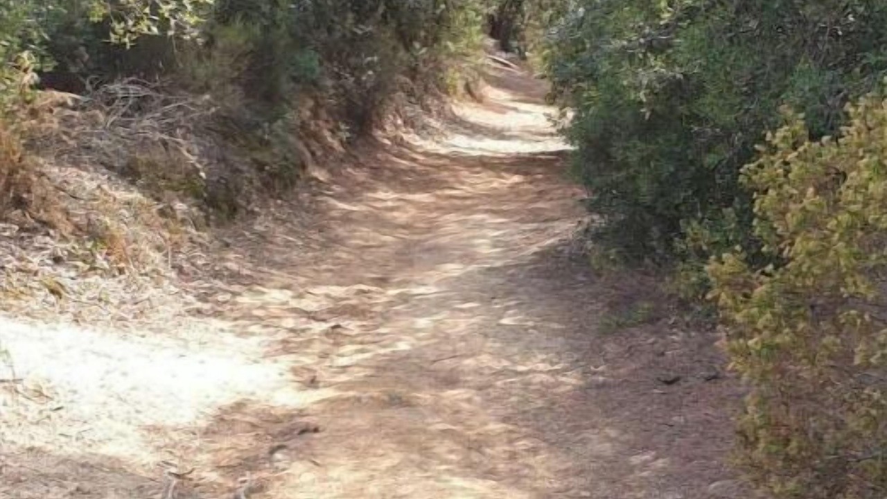 Photo of Outdoor in Tordera