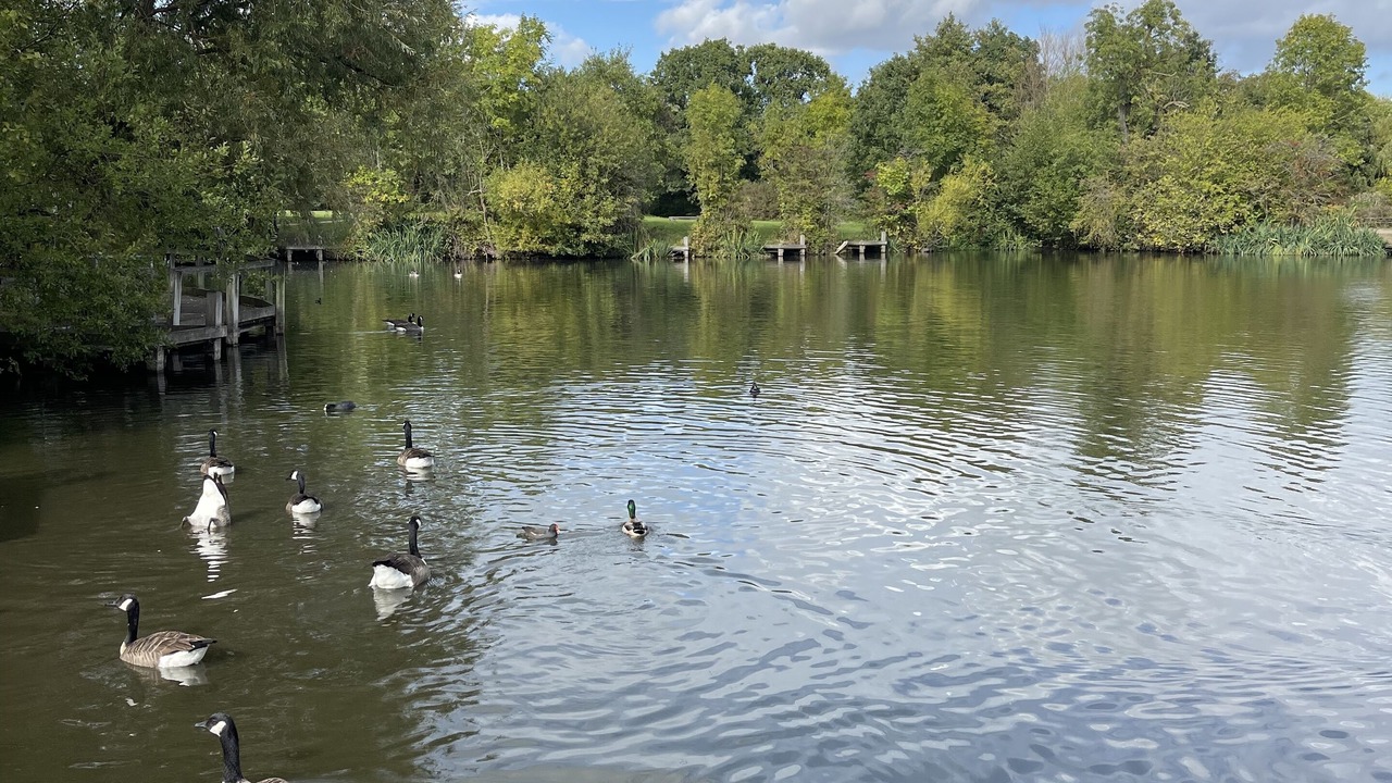 Photo of Others in Wandsworth Common