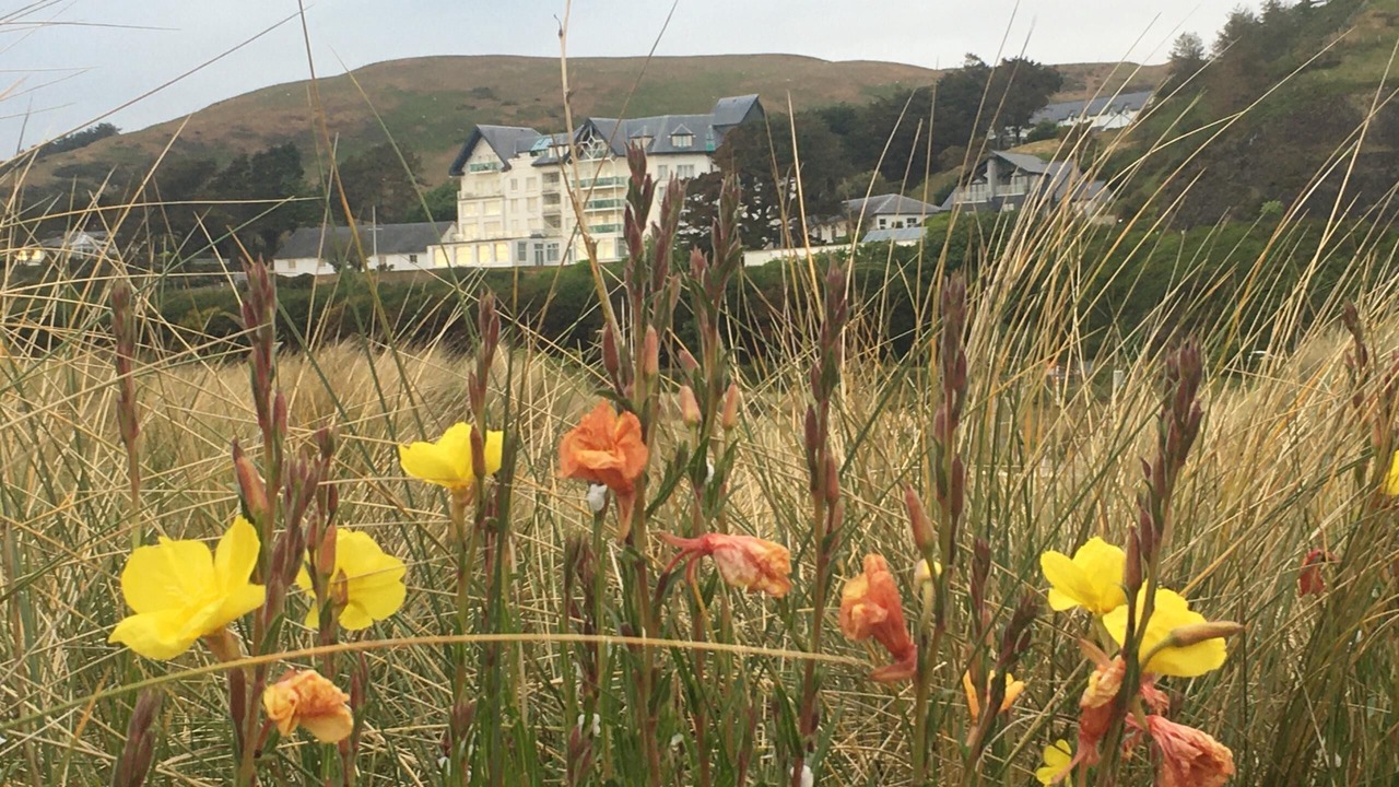 Photo of Others in Aberdovey