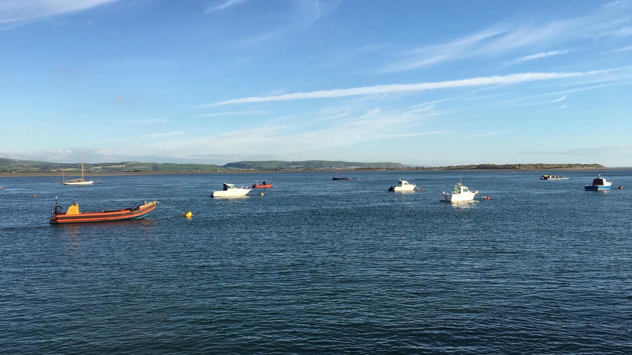 Photo of Others in Aberdovey