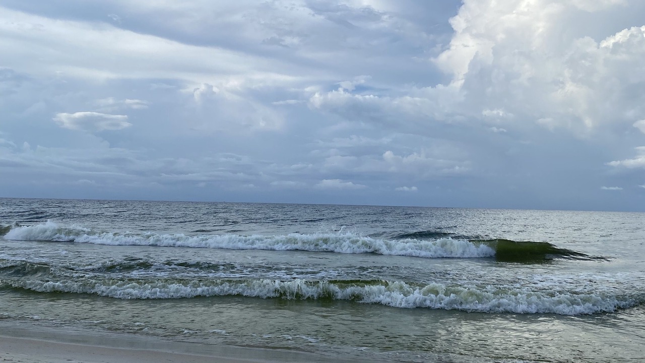 Photo of Others in Fort Walton Beach