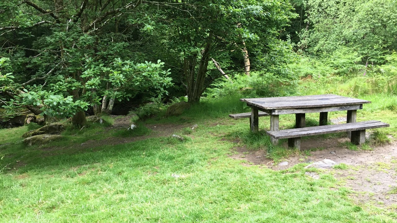 Photo of Others in Aberdovey