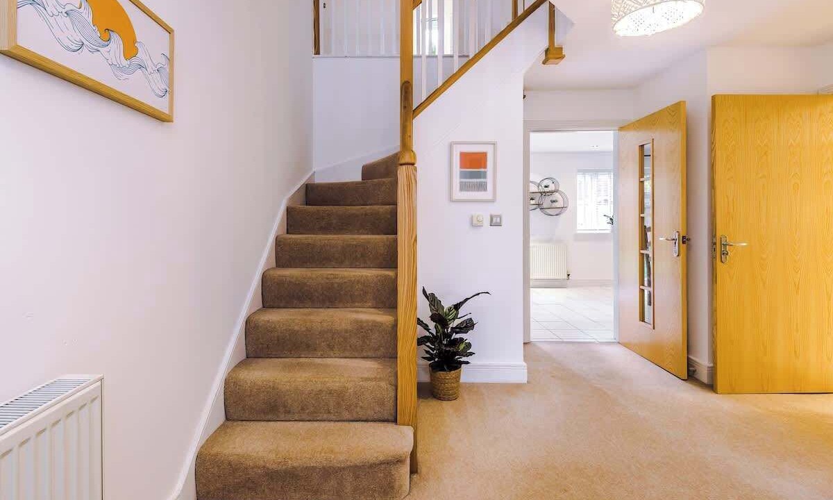 Photo of Others in Chester