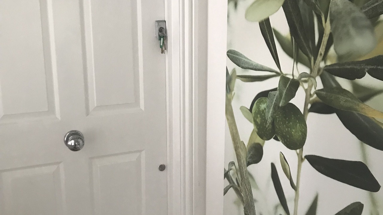 Photo of Others in Shaftesbury