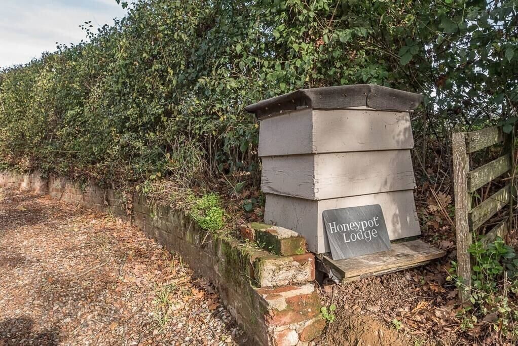 Photo of Outdoor in Saxmundham