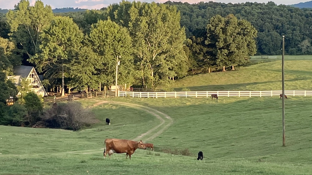 Photo of Others in Graham