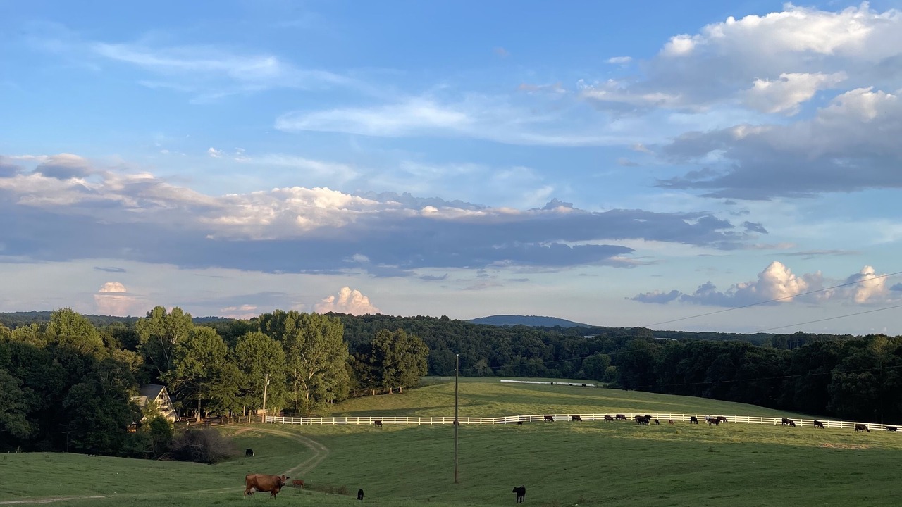 Photo of Others in Graham