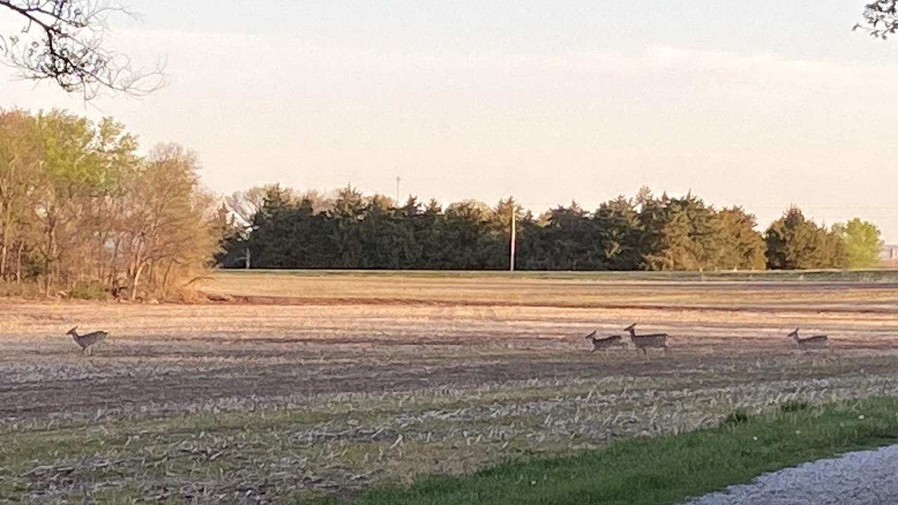 Photo of Outdoor in Ada
