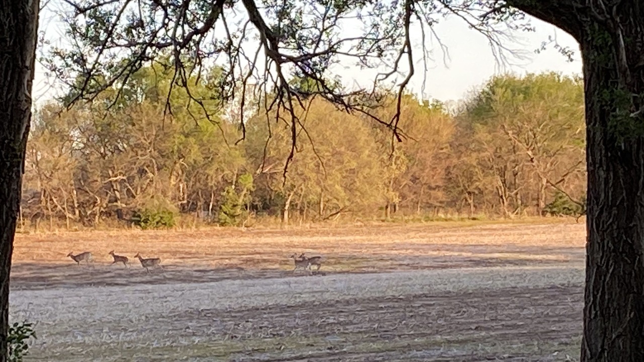 Photo of Others in Ada