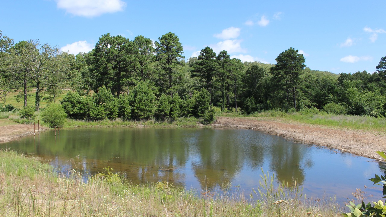 Photo of Outdoor in Talihina