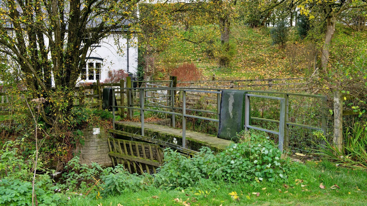 Photo of Outdoor in Tirabad