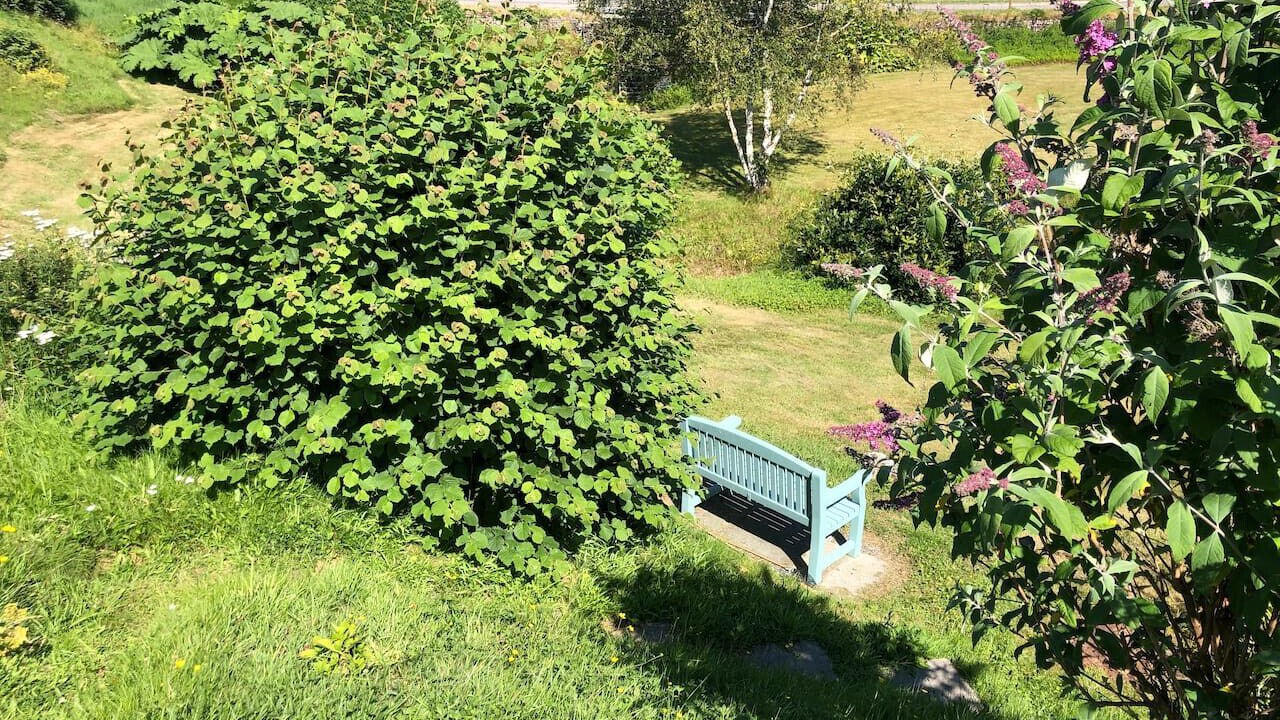 Photo of Outdoor in Salen