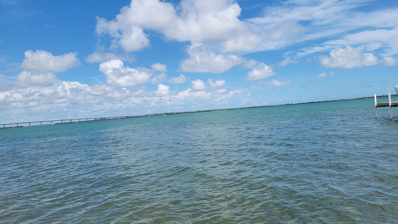 Photo of Others in Summerland Key