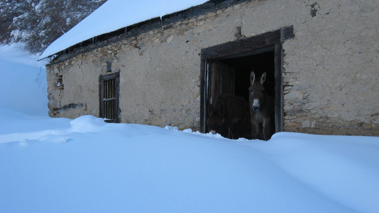Photo of Outdoor in Arrodets-ez-Angles