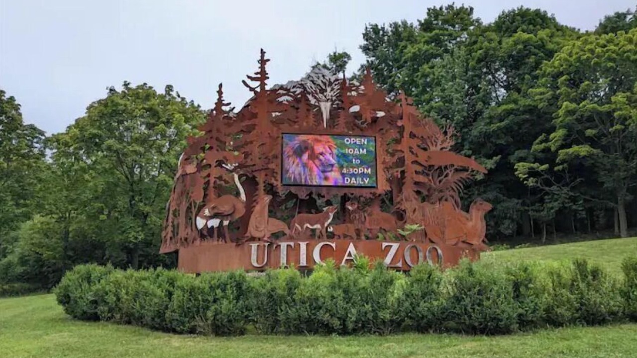 Photo of Others in Utica