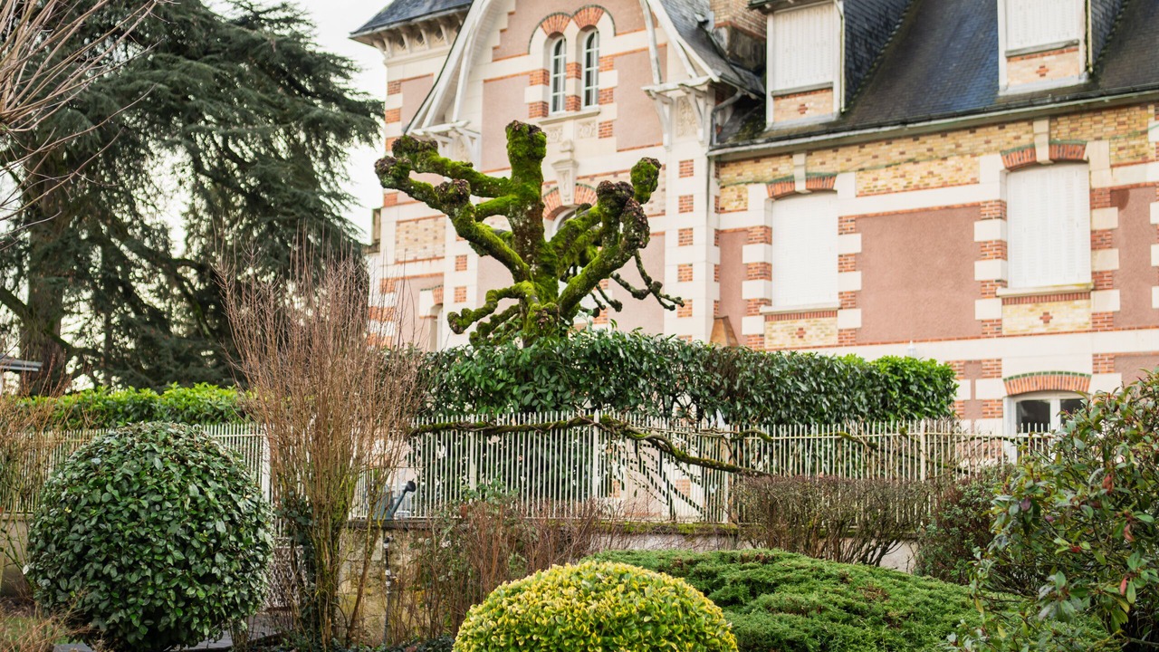 Photo of Outdoor in Chatillon-sur-Indre
