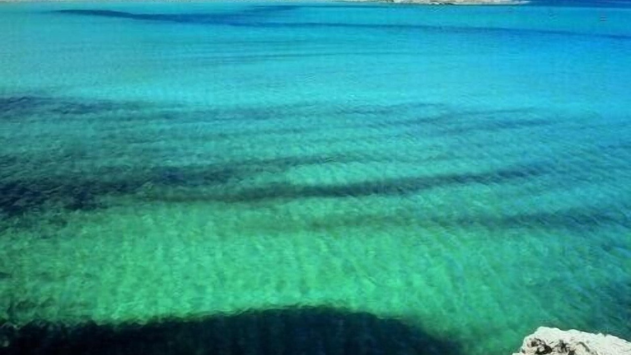 Photo of Others in Platja de l'Arenal