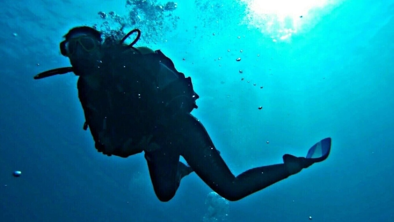 Photo of Others in Platja de l'Arenal