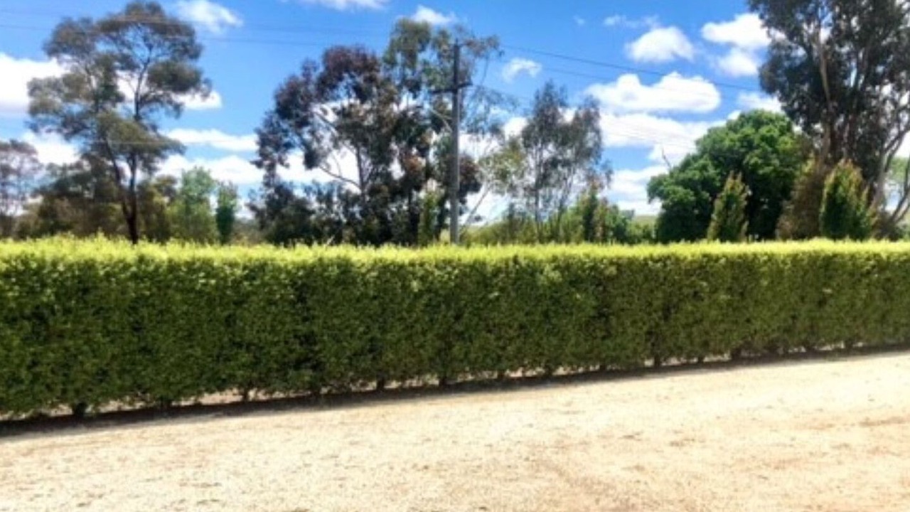 Photo of Outdoor in Alexandra