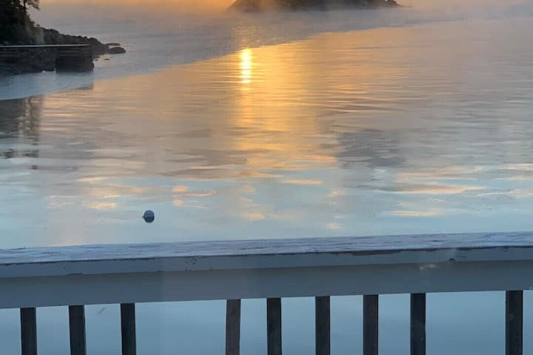 Photo of Others in Northwest Cove