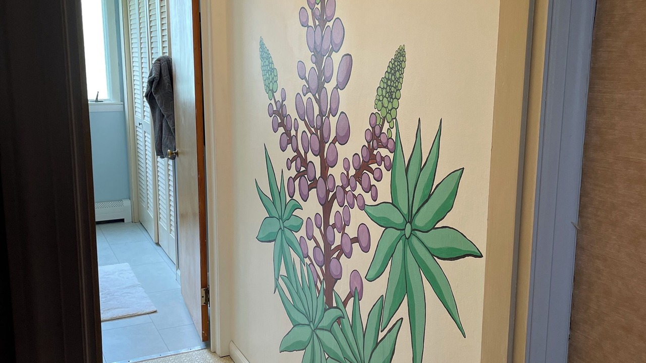 Photo of Others in Bangor