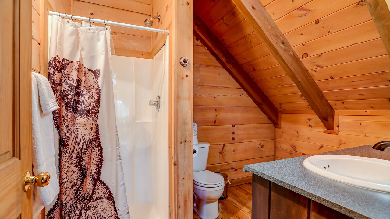 Photo of Bathroom in Blue Ridge