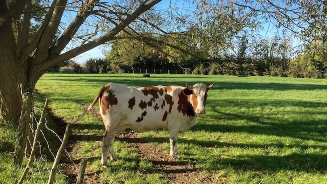 Photo of Outdoor in Saint-Valery-sur-Somme