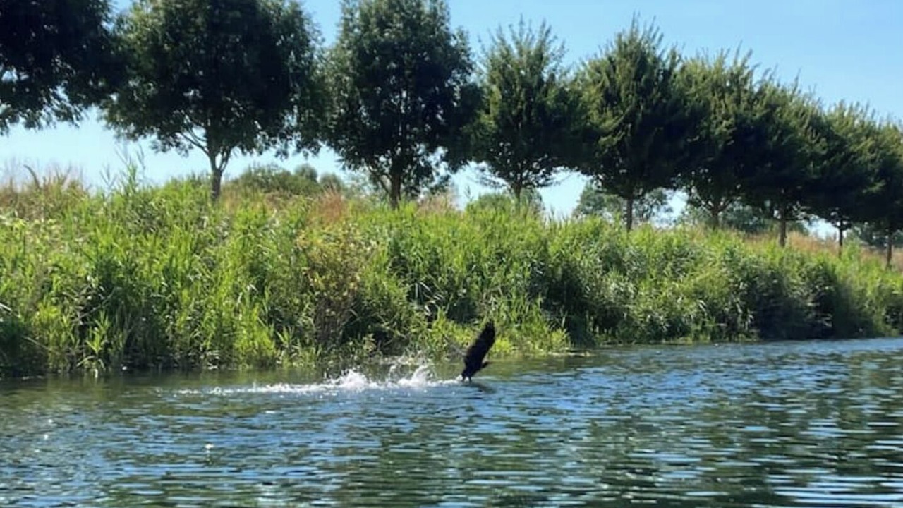 Photo of Outdoor in Saint-Valery-sur-Somme