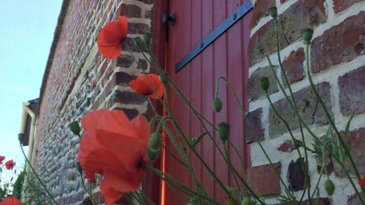 Photo of Outdoor in Saint-Valery-sur-Somme